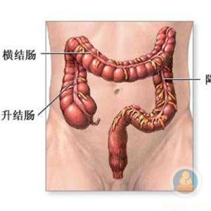 结肠炎治疗最佳方法 关于结肠炎的治疗方法