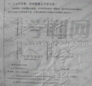 2011高考全国2卷(大纲卷)满分作文：撑起一片诚信的蓝天