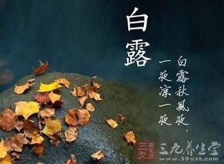 身体皮肤痒吃什么 白露时节吃什么对身体和皮肤好
