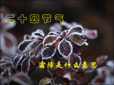 霜降节气 霜降节气是什么意思