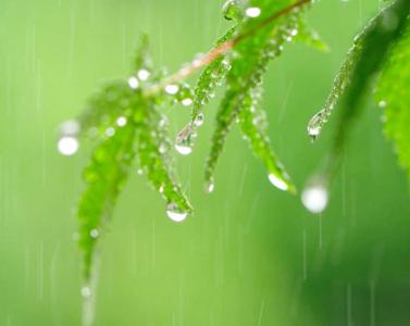 好雨知时节李好 好雨知时节