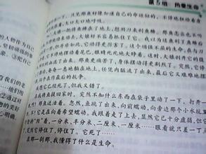 热爱生命的作文800字 热爱生命的作文800字2篇