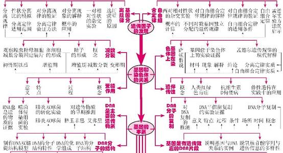 必修一生物单元概念图 高中生物必修一单元概念图