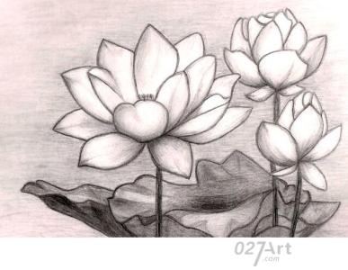 彩色铅笔画花卉图片 花卉铅笔画的图片