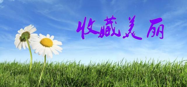 优美散文欣赏:收藏阳光,贮存幸福