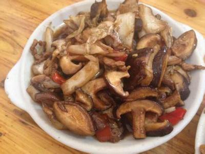香菇的做法大全 香菇炒肉的好吃做法分享