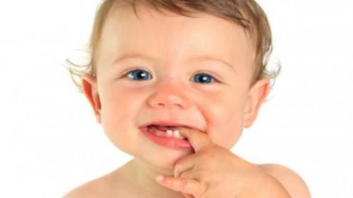 减肥适合吃什么食物 宝宝长牙期适合吃什么食物