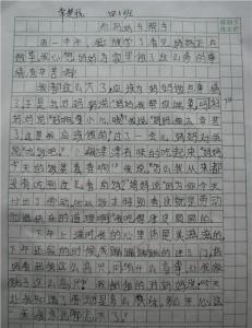 一篇作文我爱妈妈300 我的妈妈作文300字，妈妈的作文300字10篇