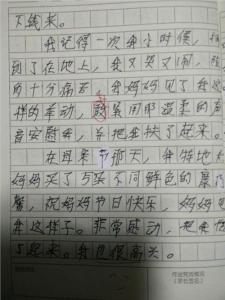 感谢爸爸妈妈作文300字 感谢爸爸妈妈作文