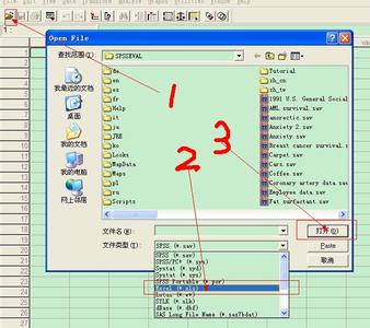 如何将excel导入spss 怎么将SPSS导入Excel