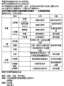 地理必修2知识点梳理 高一生物必修一第五章知识点梳理