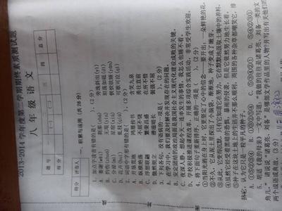 八年级上学期期中考试 北京海市八年级语文上学期期中试卷