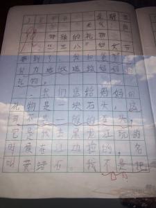 特殊的礼物作文550字 以特殊的礼物为题的作文