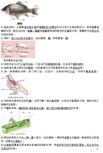 天津市八年级生物会考 八年级生物会考资料