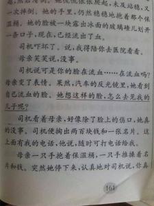 一篇关于亲情的文章 爱与亲情的文章800字3篇
