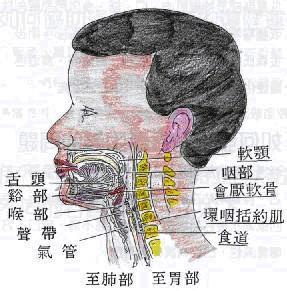 怎样解决唱歌漏气问题 如何解决唱歌压舌根的问题 如果不压舌根