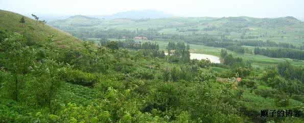 荒山承包合同 村集体荒山承包合同