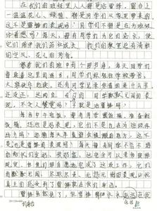 有关雷锋的作文600字 关于雷锋的作文600字