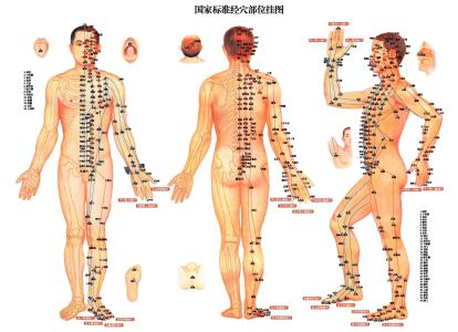 十二经络歌诀 穴位基础知识