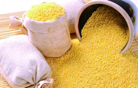 小米的功效与作用禁忌 小米的功效与作用及食用方法