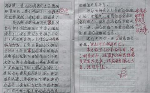 初中教师学期工作总结 初中教师学期总结反思