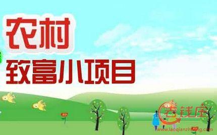 个人创业适合做什么 2016年创业适合做什么