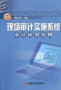 税收征管审计报告 试论计算机辅助审计在税收征管审计中的应用