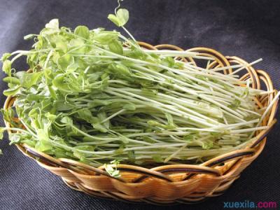 如何种植黄豆芽 如何种植绿豆芽