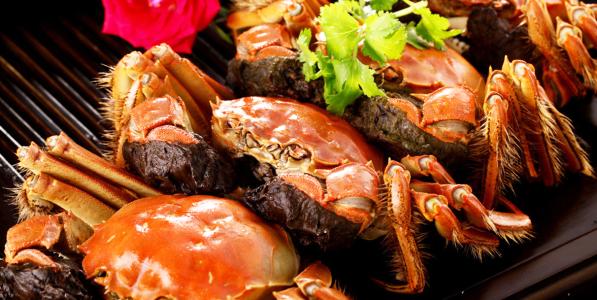 大闸蟹吃法 哪里的大闸蟹最好吃_大闸蟹最好的吃法