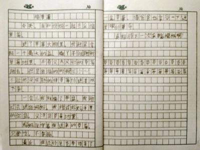 摘草莓作文500字 关于草莓的作文500字精选