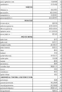 金融词汇中英文对照 妇产科检查相关词汇中英对照