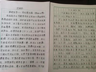 寒假心得体会800字 初中生寒假心得体会800字