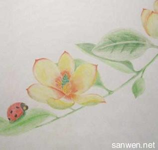 彩铅素描 入门 彩铅素描入门图片