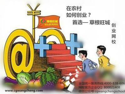 草根创业故事案例 有关草根创业致富的故事