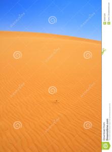 新月形沙丘形成示意图 沙丘是怎么形成的 沙丘的类型与移动