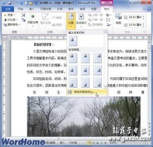 word 文档对比 精确 在Word文档中怎么精确设置图片的位置