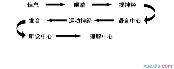 世民汉字快速记忆法 汉字如何快速阅读