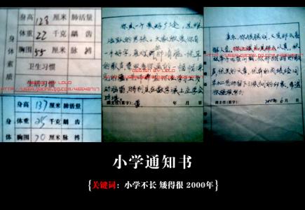 素质报告单教师评语 小学报告单教师评语 小学通知书教师评语