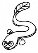 鳗鱼简笔画 鳗鱼简笔画的图片