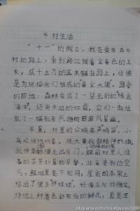 乡村风光趣事生活文章 乡村生活文章范文