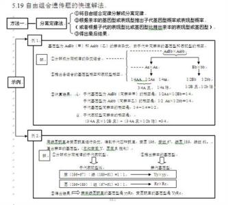 高考历史知识点整理 高考历史知识点归纳