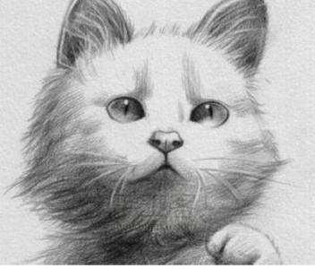 动物铅笔画简单的图片 黑白简单动物铅笔画图片