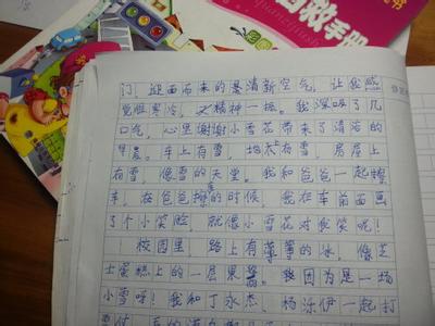 第一场雪作文500字 第一场雪的作文500字