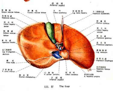 心跳加重是什么原因 肝炎加重的原因是什么