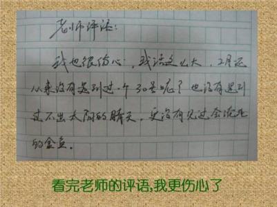 高三评语大全老师评价 高三教师评语大全