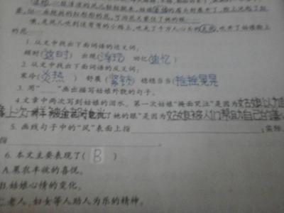 弯弯的小路阅读答案 2016年弯弯的小路阅读答案