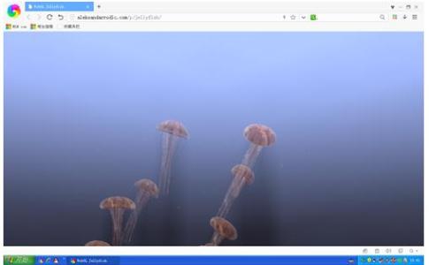 360极速浏览器 webgl 360极速浏览器怎么开启WebGL