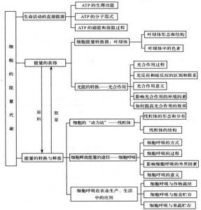 生物圈中的人知识梳理 高二生物下册《生物性污染及其预防》知识梳理