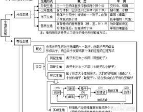 高中化学金属知识点复习