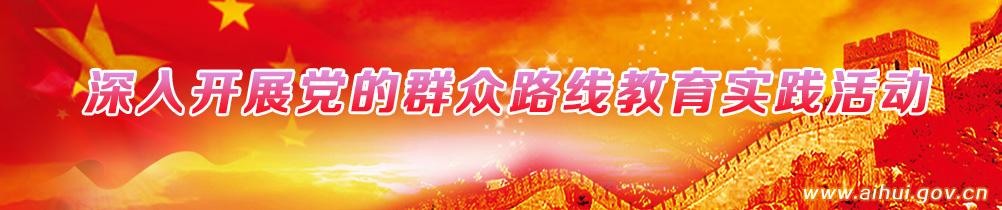 群众路线教育实践活动 扎实开展全市党的群众路线教育实践活动